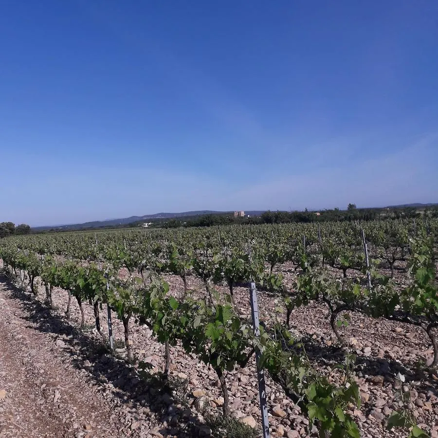 Vents D'Anges Bed & Breakfast Sainte-Cecile-les-Vignes