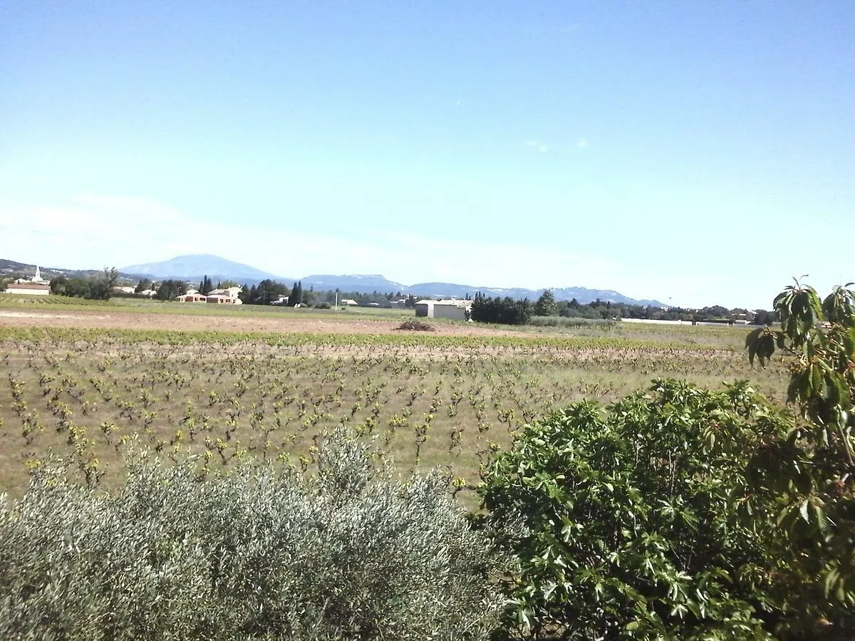 Vents D'Anges Bed & Breakfast Sainte-Cecile-les-Vignes 4*,